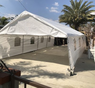 A large white tent with windows set up on a concrete patio, surrounded by palm trees and a house in a sunny outdoor space.